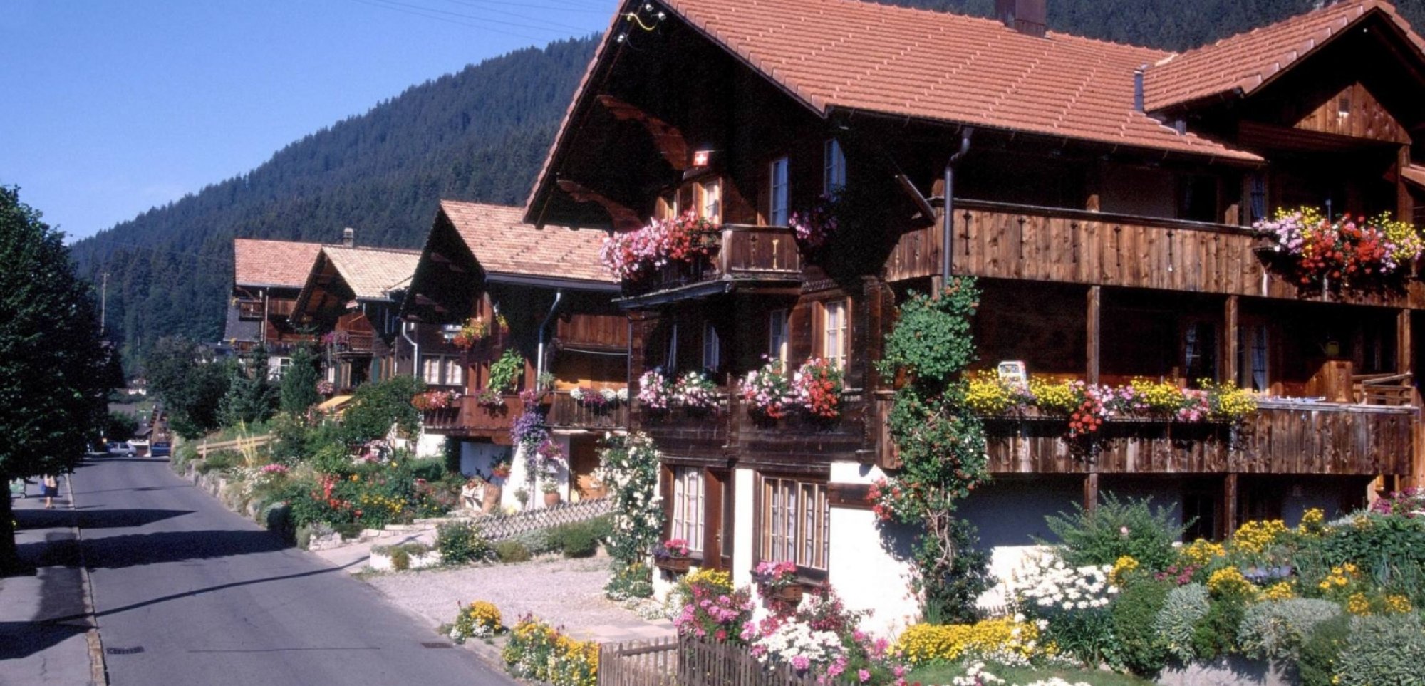 Beatenberg-Spirenwald