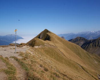 Weg Brienzer Rothorn-Schönbühl